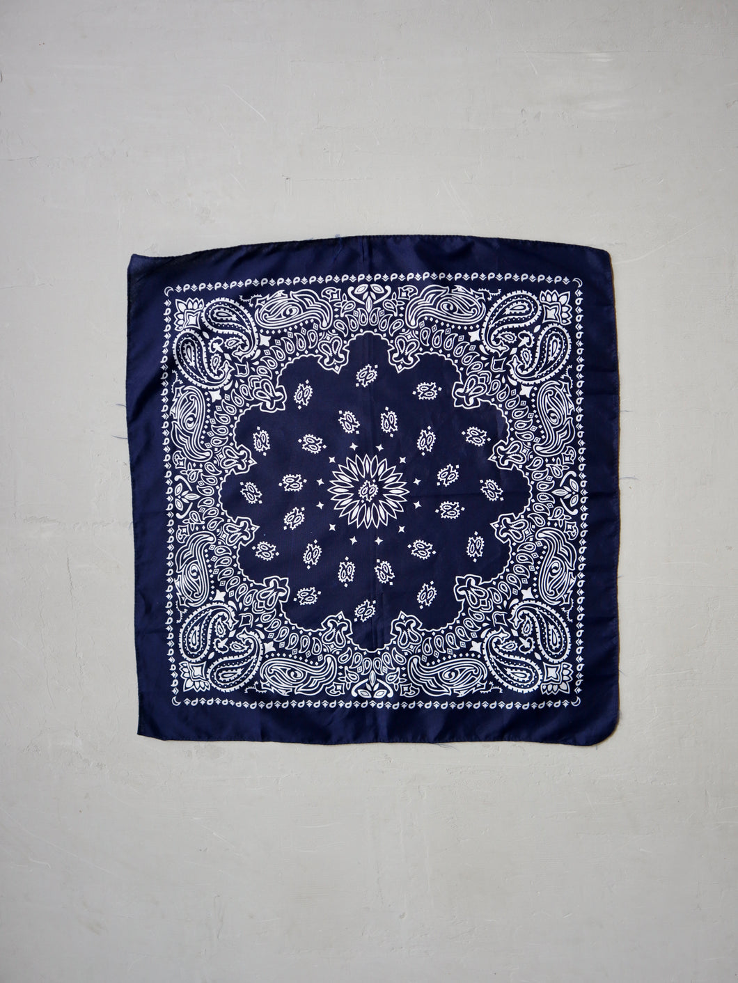 Paisley Navy Bandana